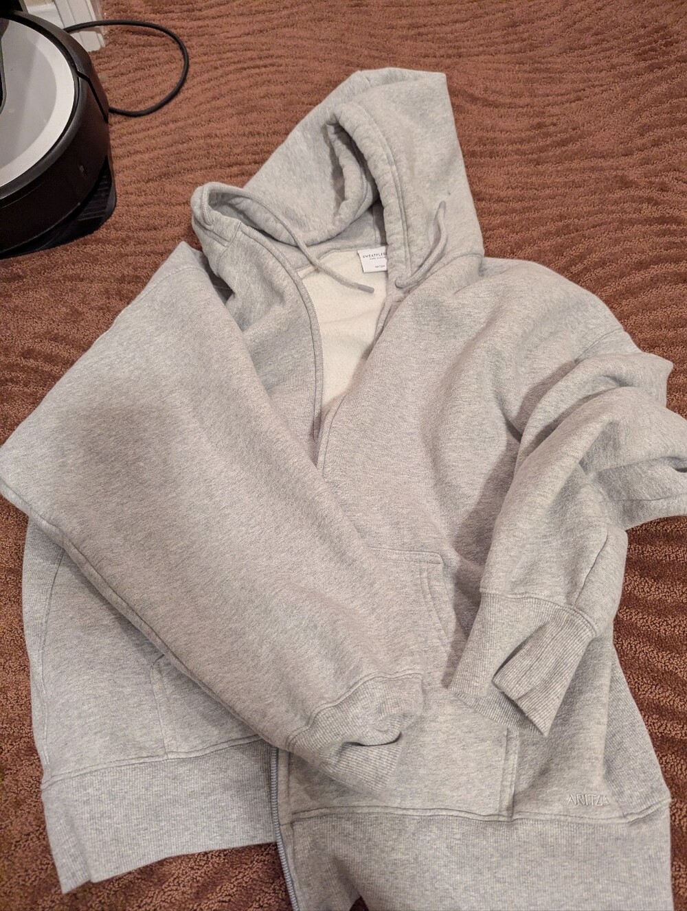 Aritzia Boyfriend Fit Hooded Fleece Zip-Up Sweatshirt